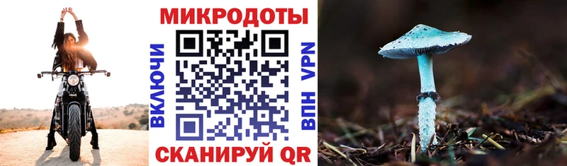 Псилоцибиновые грибы Psilocybe Ипатово